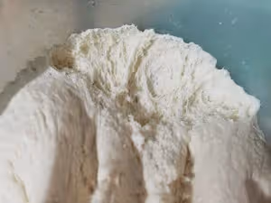 肉沫蔥花捲