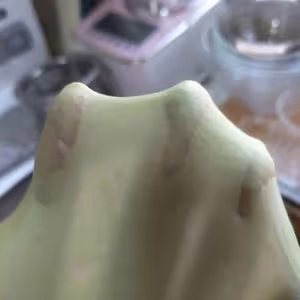 抹茶蔓越莓軟歐包