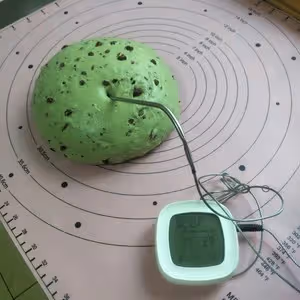 抹茶蔓越莓軟歐包