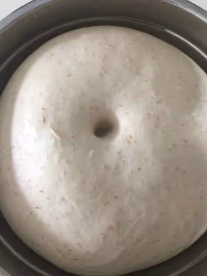 全麥乳酪蜜豆軟歐