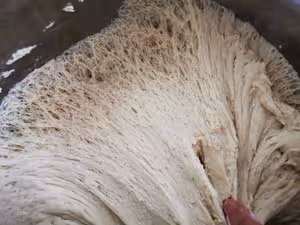 紅糖麻醬花捲