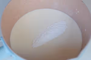 好吃到土撥鼠尖叫！生椰拿鐵小白，必須安排