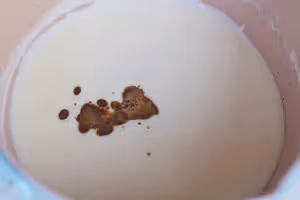 好吃到土撥鼠尖叫！生椰拿鐵小白，必須安排