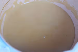 好吃到土撥鼠尖叫！生椰拿鐵小白，必須安排