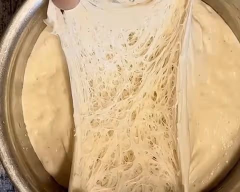 魯邦種法國老面
