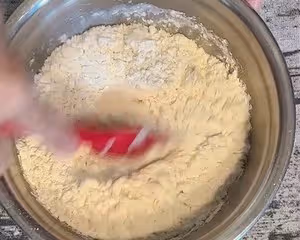 魯邦種法國老面