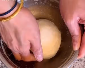 魯邦種法國老面