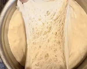 魯邦種法國老面