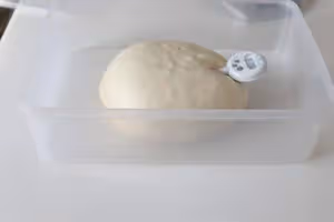 英式脆皮吐司