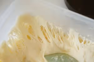 義大利恰巴塔初體驗｜無糖少油麵包｜波蘭種｜大水量