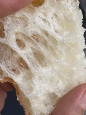 義大利恰巴塔初體驗｜無糖少油麵包｜波蘭種｜大水量