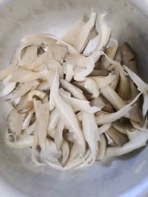 干炸蘑菇（超簡單隔餐不軟趴做法，香酥到沒朋友）