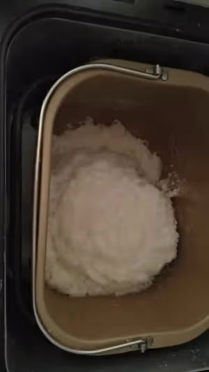 糍粑(自製年糕)麵包機版(超詳細附不粘竅門)