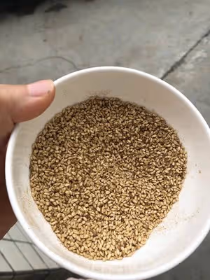 五香芝麻牛肉乾-不夠分系列