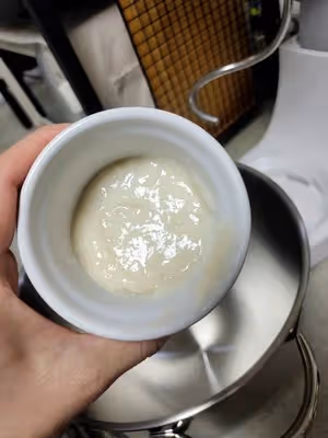 淡奶油煉乳手撕包（一發）