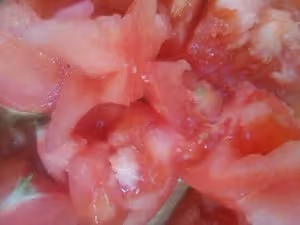 下飯神器――酸辣線椒醬