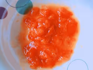 🍅秋天的柿子煎餅