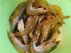 超級過癮❗️家常下飯菜辣炒大蝦🍤