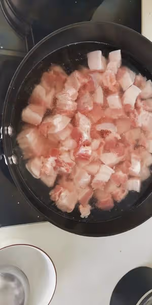 不換菜譜的紅燒肉