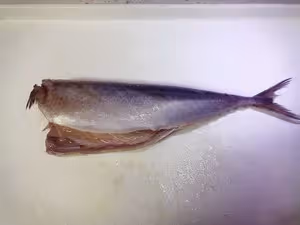 早餐快手菜 — 開片鹽烤青占魚