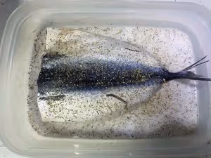 早餐快手菜 — 開片鹽烤青占魚