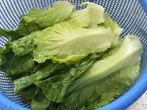 想法把蚝油炒生菜做到最好
