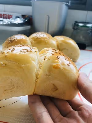 嬰兒母乳吐司（無糖無鹽）