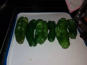 一人食：虎皮尖椒（油燜青椒）