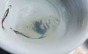 蛤蜊土豆奶油濃湯：冬日最濃郁的一碗，比雞湯還治癒！