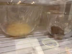 小美百變小貓咪吐司，早餐常備款