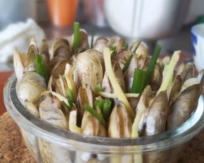 插蟶 因為姿勢而美味