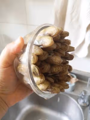 插蟶 因為姿勢而美味