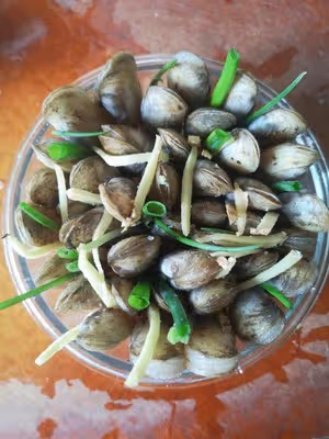 插蟶 因為姿勢而美味