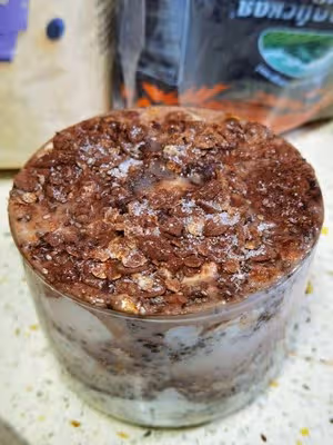 高纖低卡 快手早餐/隔夜可可燕麥酸奶杯