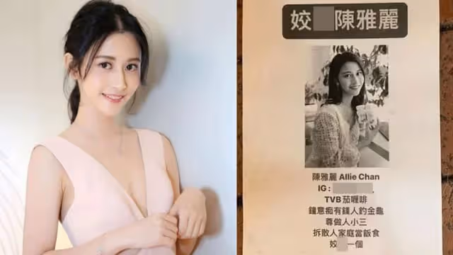被爆是專門當小三的「淫蕩女」　 辱罵陳雅麗海報撒滿銅鑼灣街道