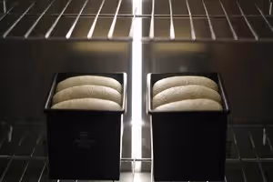 全麥牛乳吐司【波蘭種】