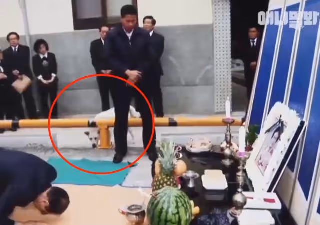 一條狗到墓地給爺爺送清明果，趴在墓碑上不願離去，汪：偶好想你