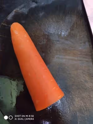紅蘿蔔蒸肉餅
