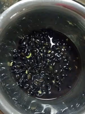 黑豆磨牙零食