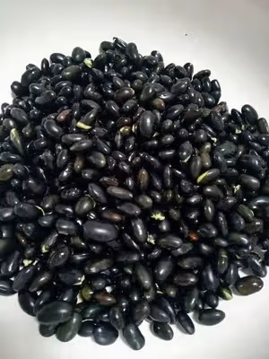 黑豆磨牙零食