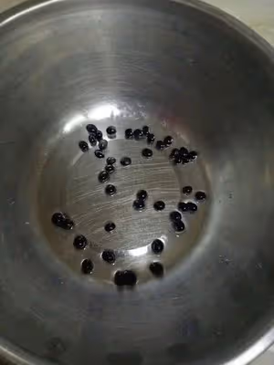 黑豆磨牙零食