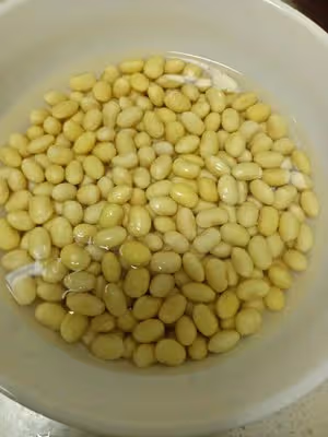 黑豆磨牙零食