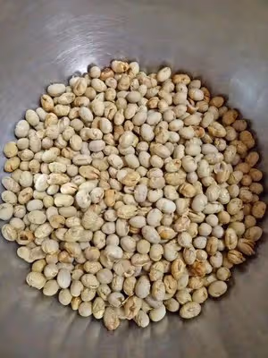 黑豆磨牙零食