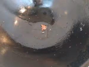 天津版老豆腐
