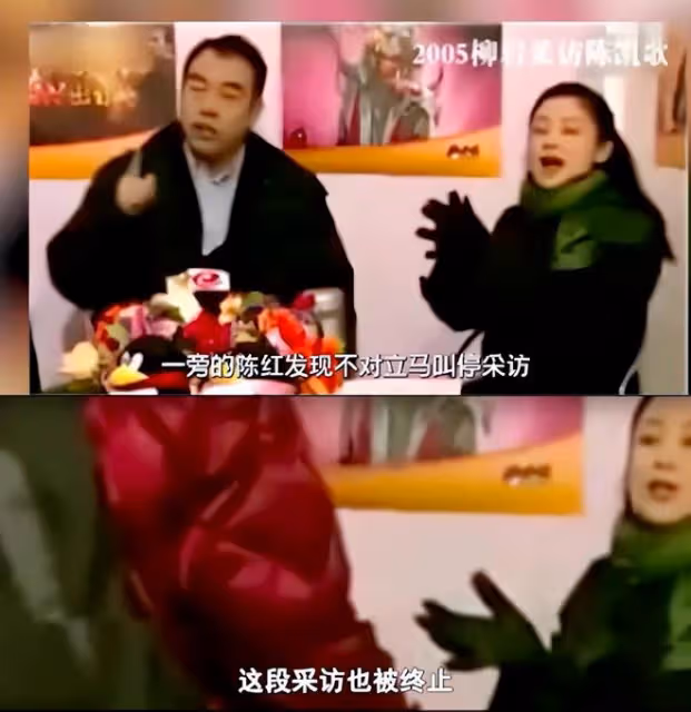 為救患癌母親進演藝圈，初出茅廬惹怒陳凱歌，柳岩前半生全是噩夢