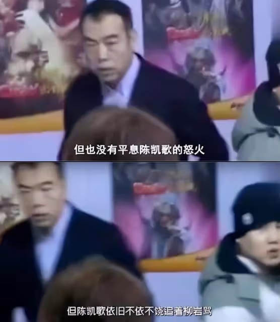 為救患癌母親進演藝圈，初出茅廬惹怒陳凱歌，柳岩前半生全是噩夢