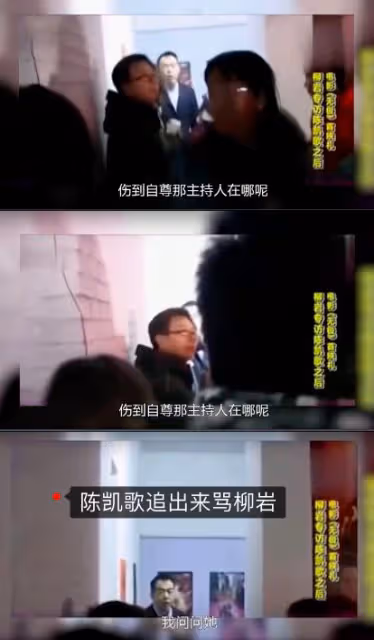 為救患癌母親進演藝圈，初出茅廬惹怒陳凱歌，柳岩前半生全是噩夢