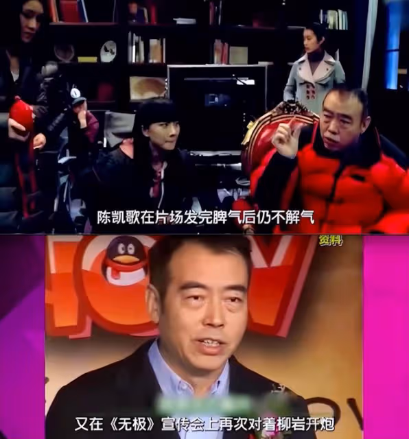 為救患癌母親進演藝圈，初出茅廬惹怒陳凱歌，柳岩前半生全是噩夢