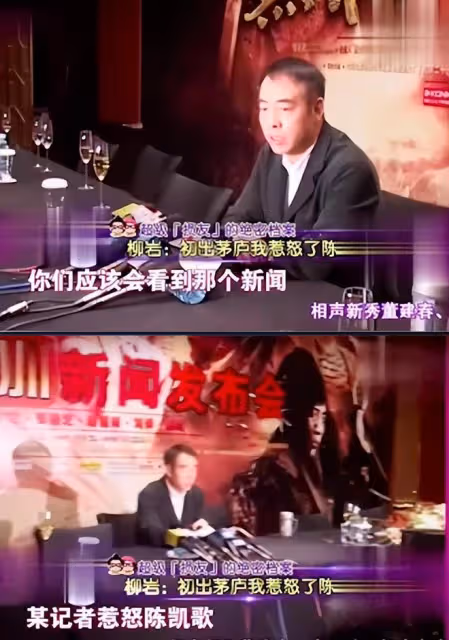 為救患癌母親進演藝圈，初出茅廬惹怒陳凱歌，柳岩前半生全是噩夢