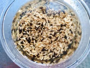 從營養師那學來的雜糧飯配方